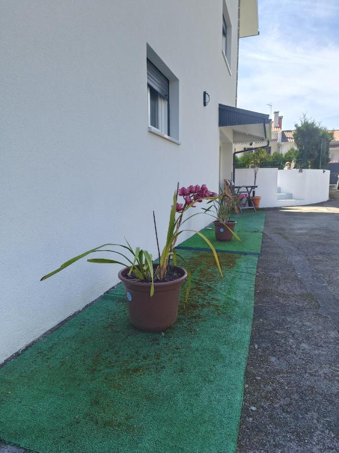 Cabedelo Seaside Guesthouse Viana do Castelo Exteriör bild
